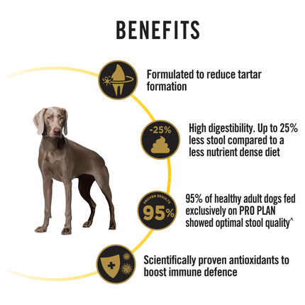 PRO PLAN Adult 7+ Bright Mind Chicken Dry Dog Food (12kg)