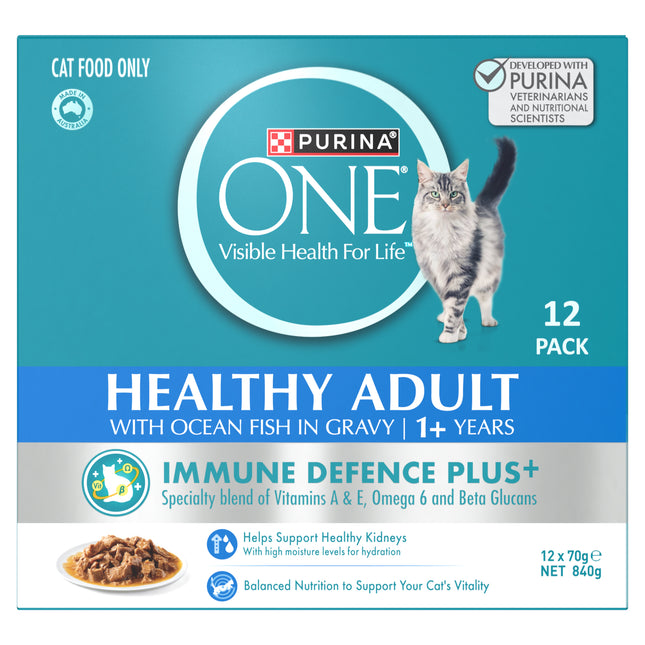 Purina ONE Ocean Fish Multipack (12x70g)