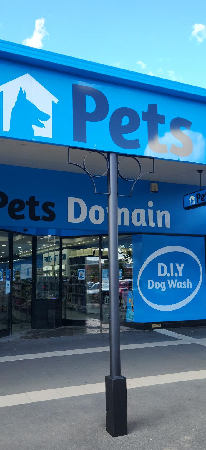 <h1>Welcome to Pets Domain</h1>