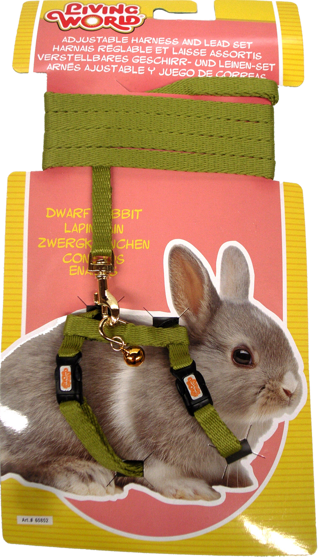 Living World - Dwarf Rabbit Harness & Lead Set (Green)