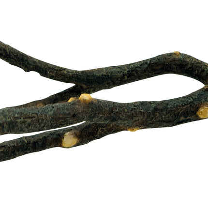 Living World - Natures Perch (23cm)