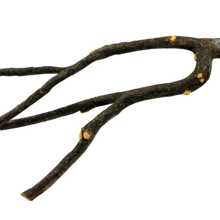 Living World - Natures Perch (43cm)