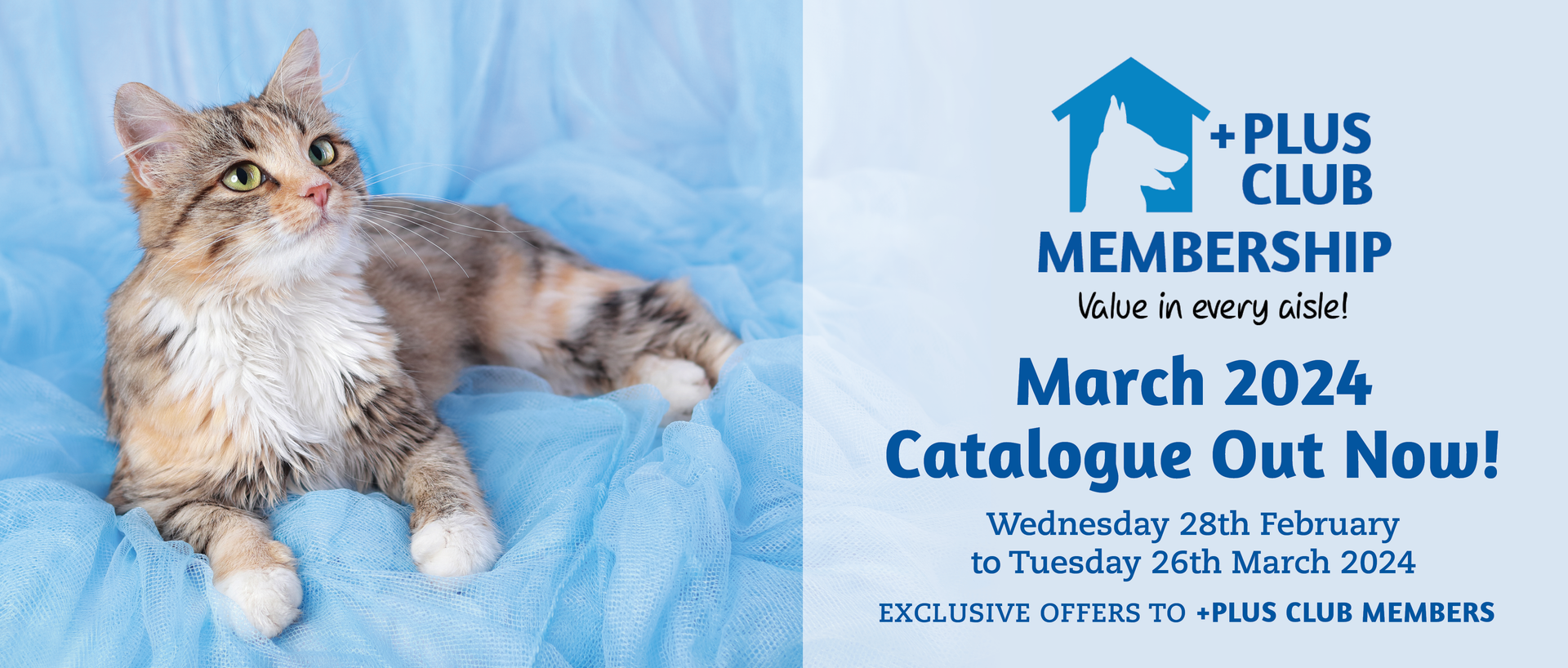 International pet shop online deals