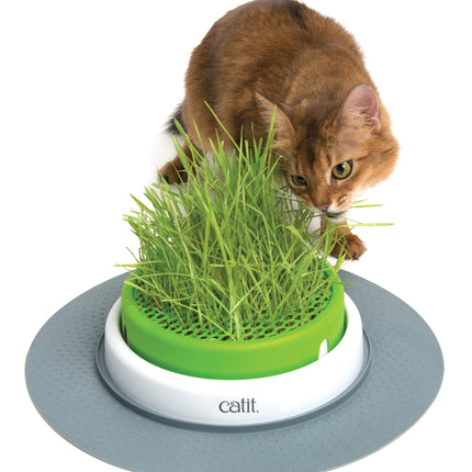 Catit - Senses 2.0 Grass Planter