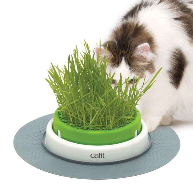 Catit - Senses 2.0 Grass Planter
