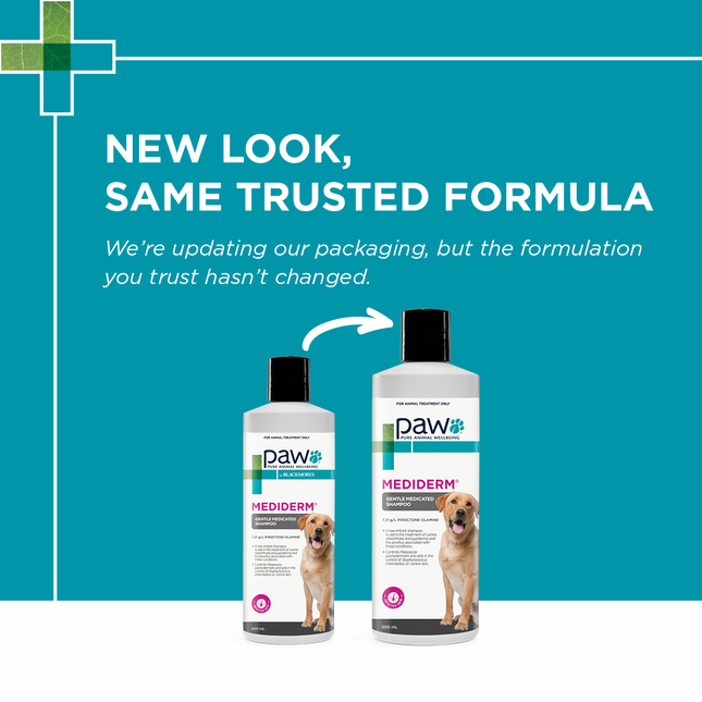 PAW MediDerm Gentle Medicated Shampoo for Dogs 500ml