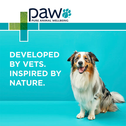 PAW NutriDerm Replenishing Conditioner for Dogs and Cats 500ml