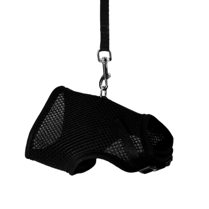Peckish Small Animal Harness and Lead Black - Large
