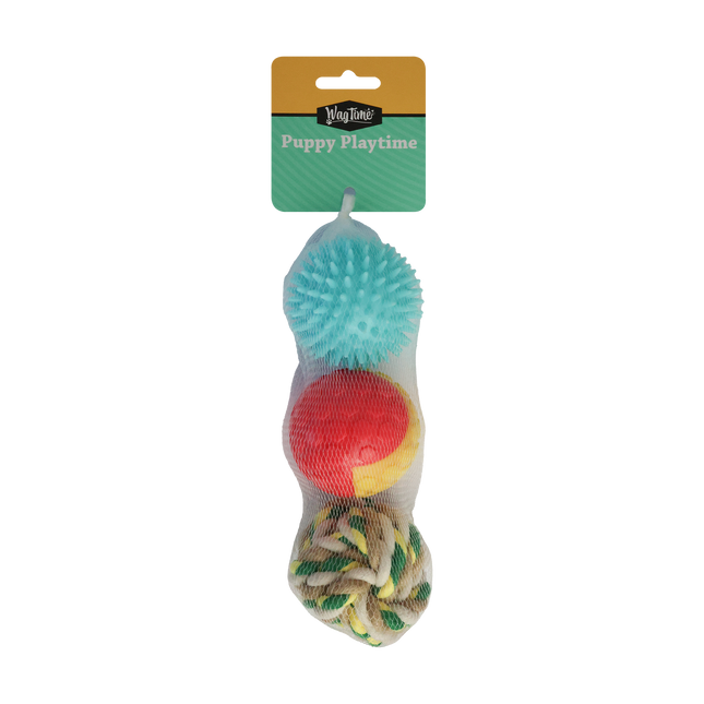 WagTime - Puppy Textured Ball Trio (6.5cm)