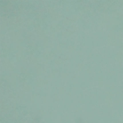 Scruffs Classic Pet Saucer 13cm - Sage Green