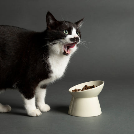 Scruffs - Icon Raised Cat Feeder Bowl Cream