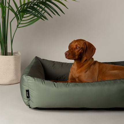 Scruffs Expedition Box Bed Khaki 90cm