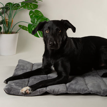 Scruffs Expedition Roll Up Travel Pet Bed Khaki 100 x 70cm