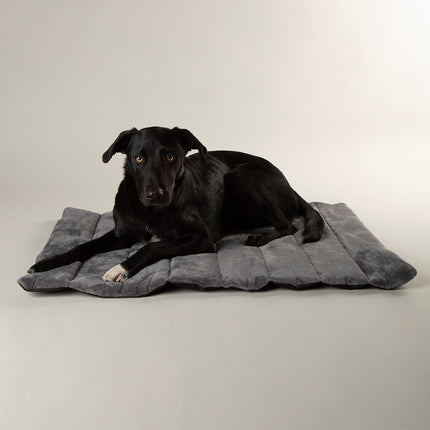 Scruffs Expedition Roll Up Travel Pet Bed Khaki 100 x 70cm