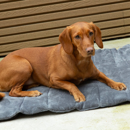 Scruffs Expedition Roll Up Travel Pet Bed Khaki 100 x 70cm