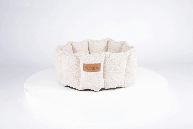 Scruffs Boucle Cat Bed 45cm - Ivory