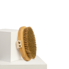 Collection image for: Pet Palm-Held Brushes
