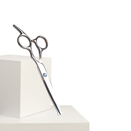 Dan & Sam Stainless Steel Rounded Tip Trimming Scissors