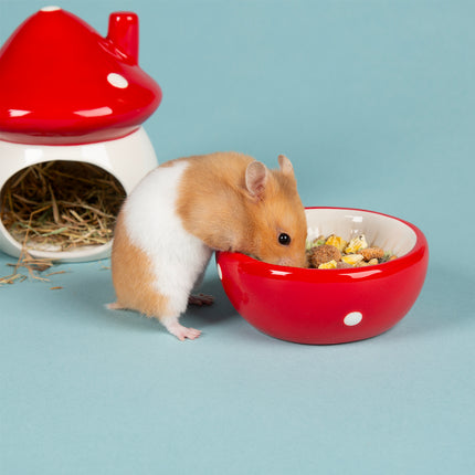 Scruffs Small Animal Toadstool Set