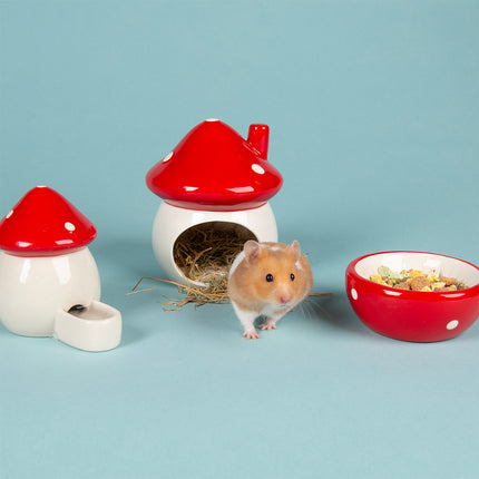 Scruffs Small Animal Toadstool Set