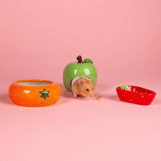Scruffs Small Animal Fruit Set