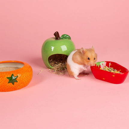 Scruffs Small Animal Fruit Set