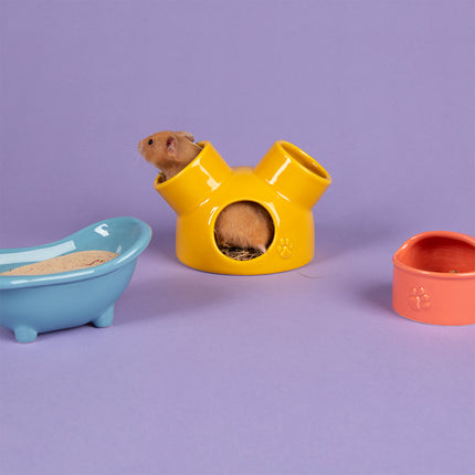 Scruffs Small Animal Colour Set