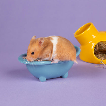 Scruffs Small Animal Colour Set