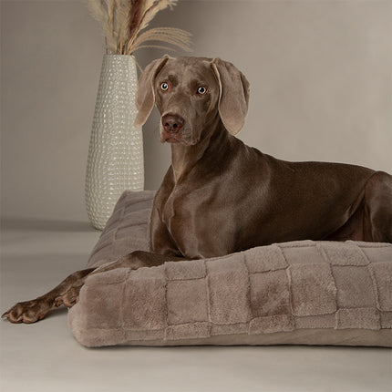 Scruffs Oxford Orthopaedic Mattress Silver 120cm