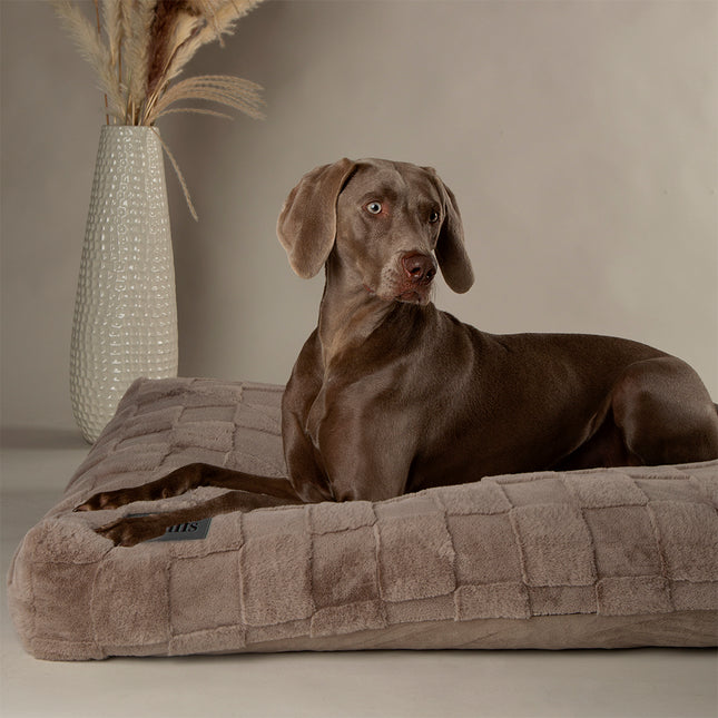 Scruffs Oxford Orthopaedic Mattress Silver 120cm