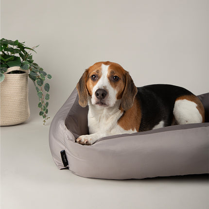 Scruffs Expedition Box Bed Storm Grey 60cm