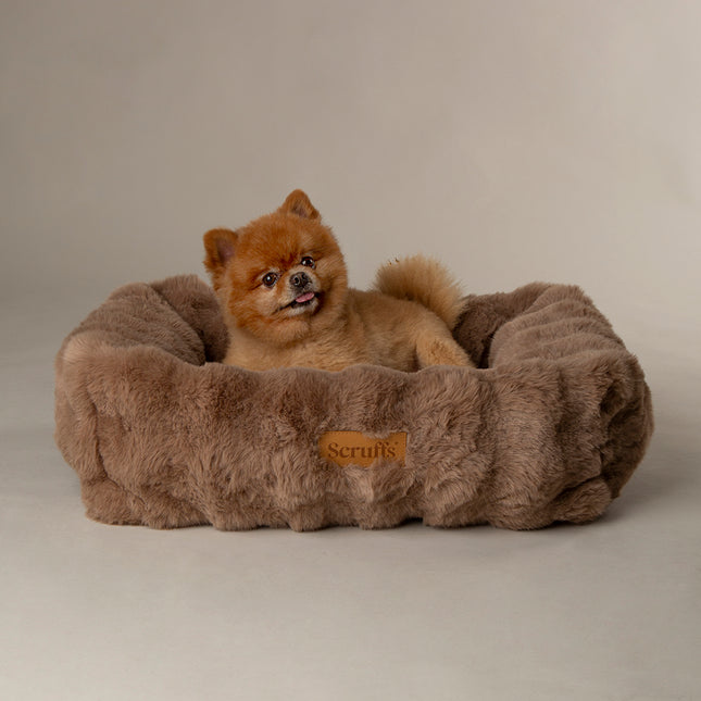 Scruffs Alpine Box Bed Taupe 60cm