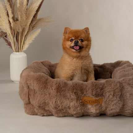 Scruffs Alpine Box Bed Taupe 60cm