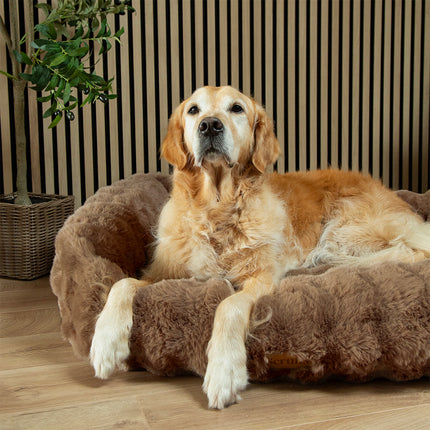 Scruffs Alpine Box Bed Taupe 90cm