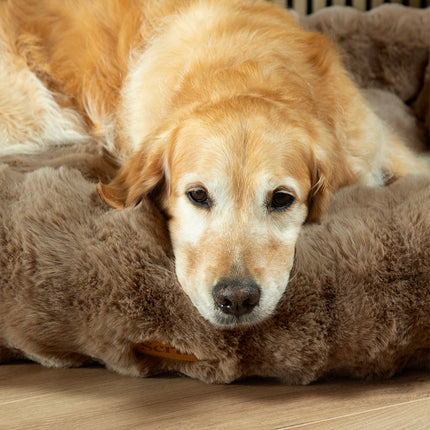 Scruffs Alpine Box Bed Taupe 90cm