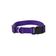 Collection image for: Dog Basic Collars