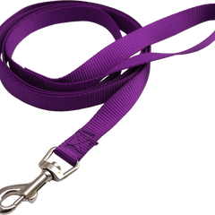 Collection image for: Dog Basic Leads
