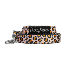 Collection image for: Dog Patterned Leads