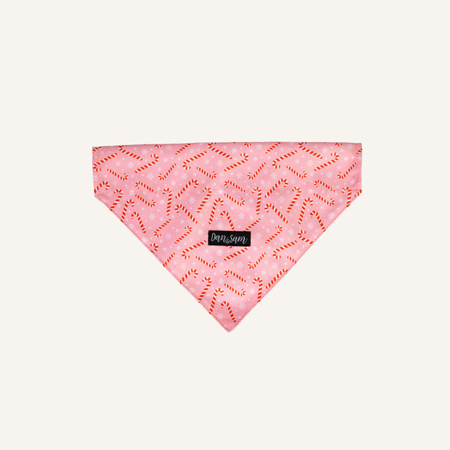 Dan & Sam - Dog Bandana (Candy Cane Kisses)