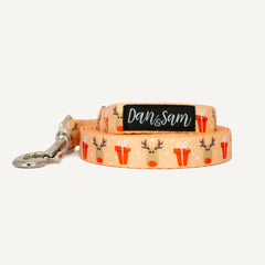 Collection image for: Dog Christmas Leads