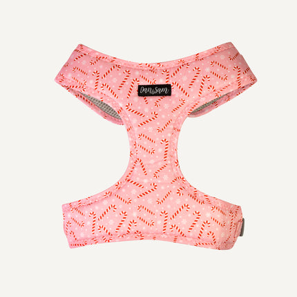 Dan & Sam - Dog Harness (Candy Cane Kisses) - Large