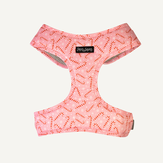 Dan & Sam - Dog Harness (Candy Cane Kisses) - Small