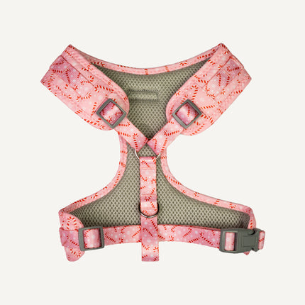 Dan & Sam - Dog Harness (Candy Cane Kisses) - Large