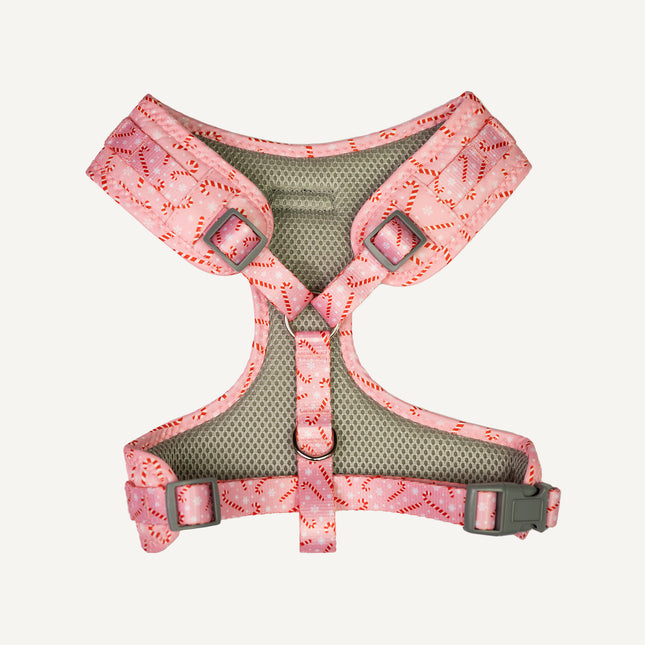 Dan & Sam - Dog Harness (Candy Cane Kisses) - X-Small