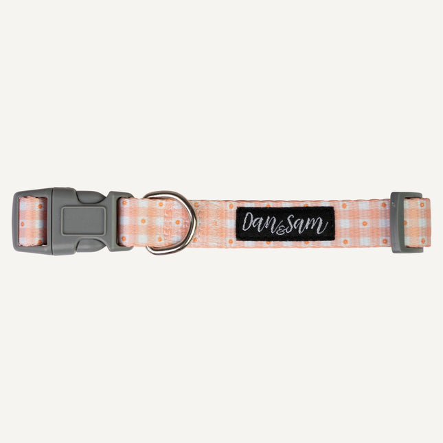 Dan & Sam - Dog Collar (Daisy Picnic) - Small