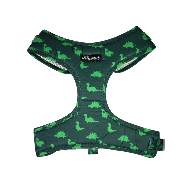 Dan & Sam - Dog Harness (Dinosaur Land) - Small