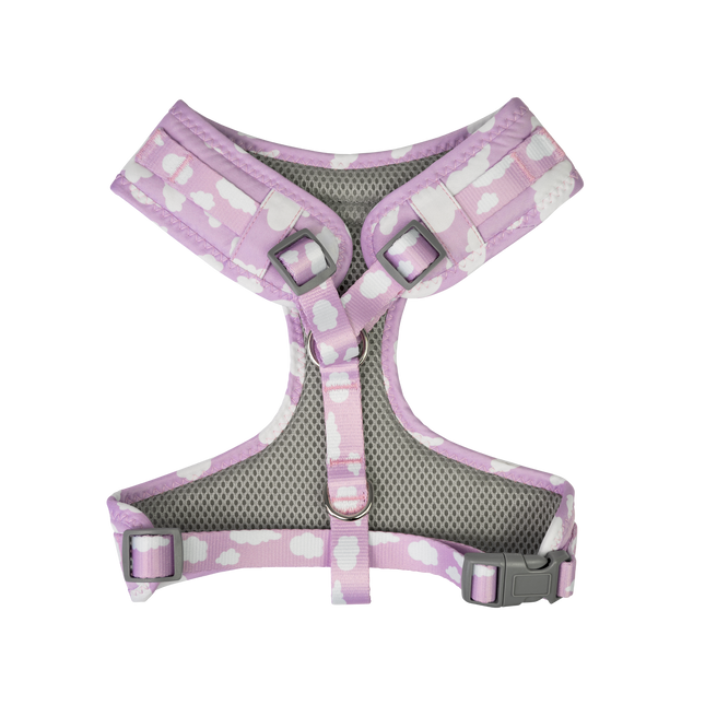 Dan & Sam - Dog Harness (Dreamer) - Medium