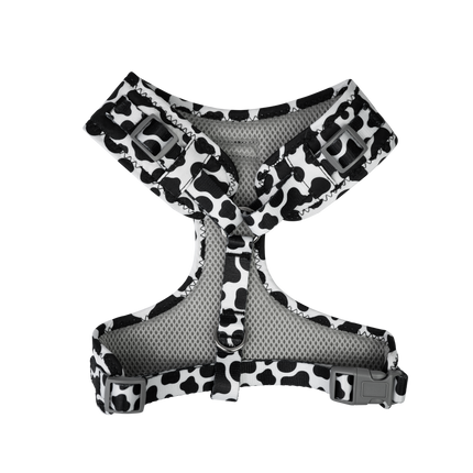 Dan & Sam - Dog Harness (Milkshake) - Small