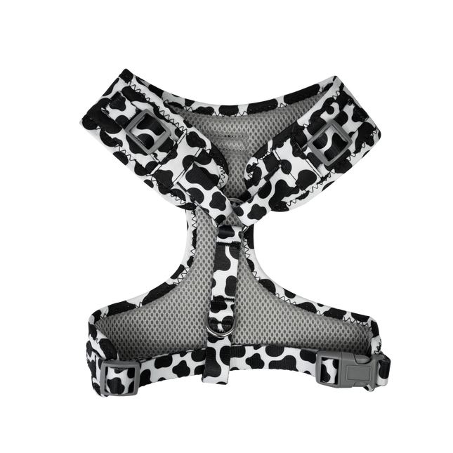 Dan & Sam - Dog Harness (Milkshake) - Small