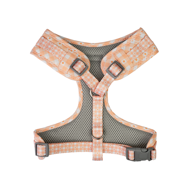 Dan & Sam - Dog Harness (Daisy Picnic) - Large